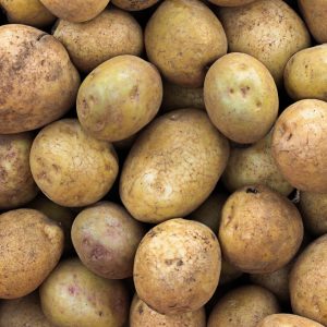 [test] - Pomme de terre