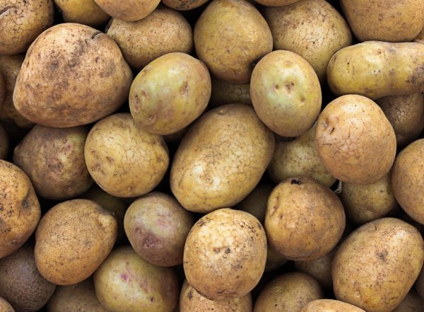 [test] - Pomme de terre