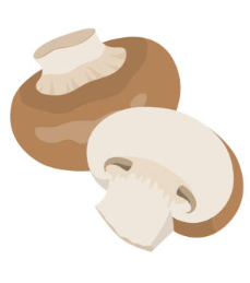 champi_brun-3-2-2-1-2-1-1-1.png Champignons bruns