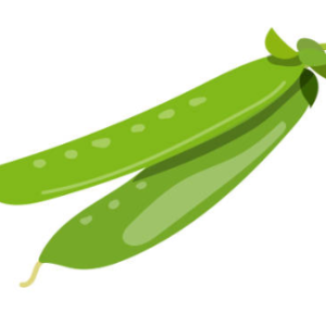 Pois mange tout
