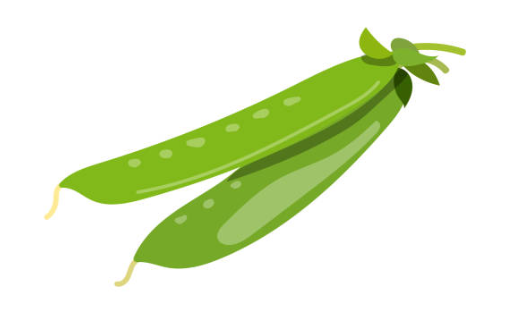 pois_mange-3-2-6.png Pois mange tout