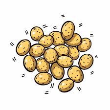 Pommes de terre nouvelles