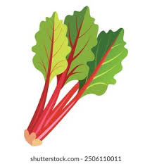 Rhubarbe