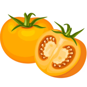 Tomates anciennes
