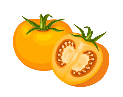 Tomates anciennes